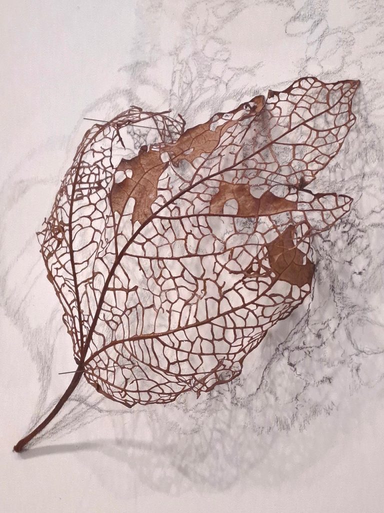 immagine per Elisabetta Di Maggio da Studio Trisorio