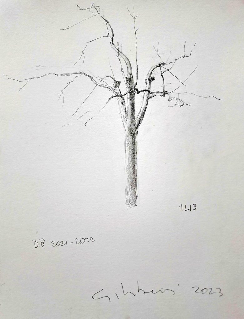immagine per Eugenio Giliberti Materia Prima (la mia vita in campagna) - Dino Morra Gallery, Napoli, 2024. Foto di E. Monetti