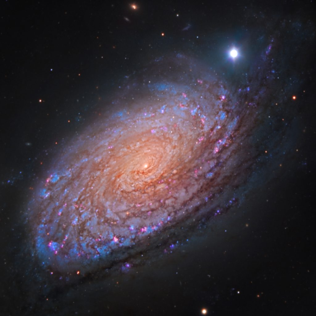 immagine per 4. La galassia a spirale M 63, a circa 37 milioni di anni luce dalla Terra.The irregular galaxy IC 10, about 37 million light years from Earth.Crediti: LRS/TNG; D. del Nero Festa Nobre