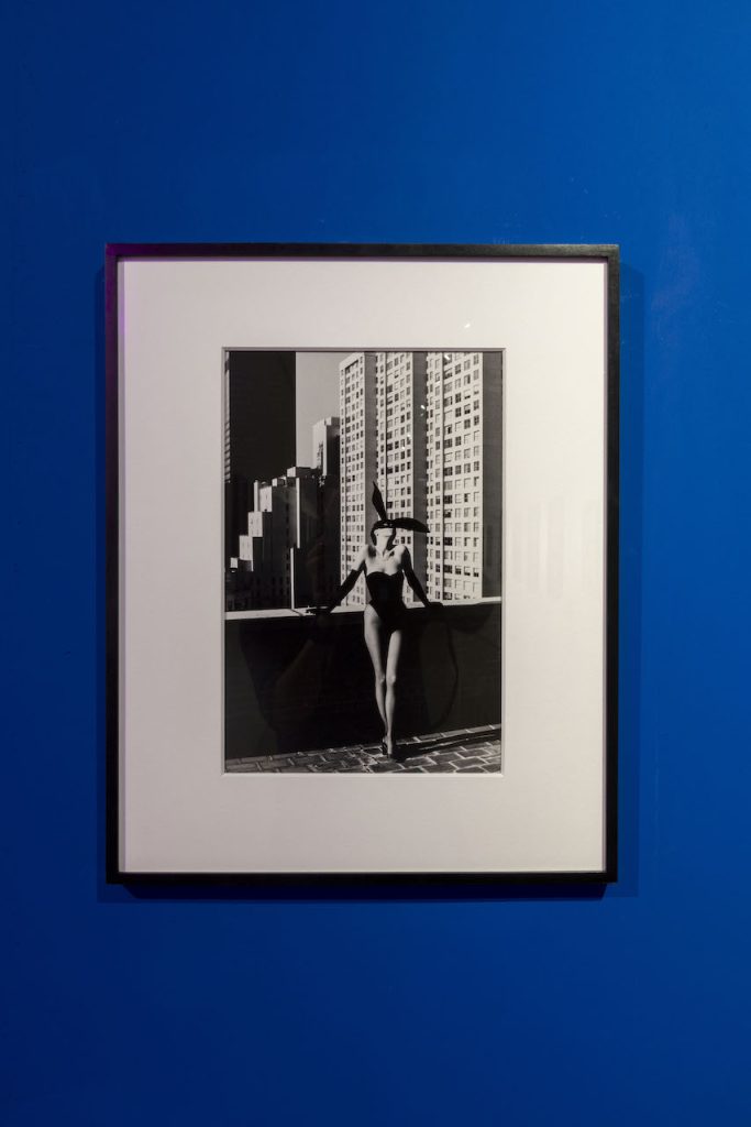 immagine per Helmut Newton - Ara Pacis ph. Monkeys Video Lab