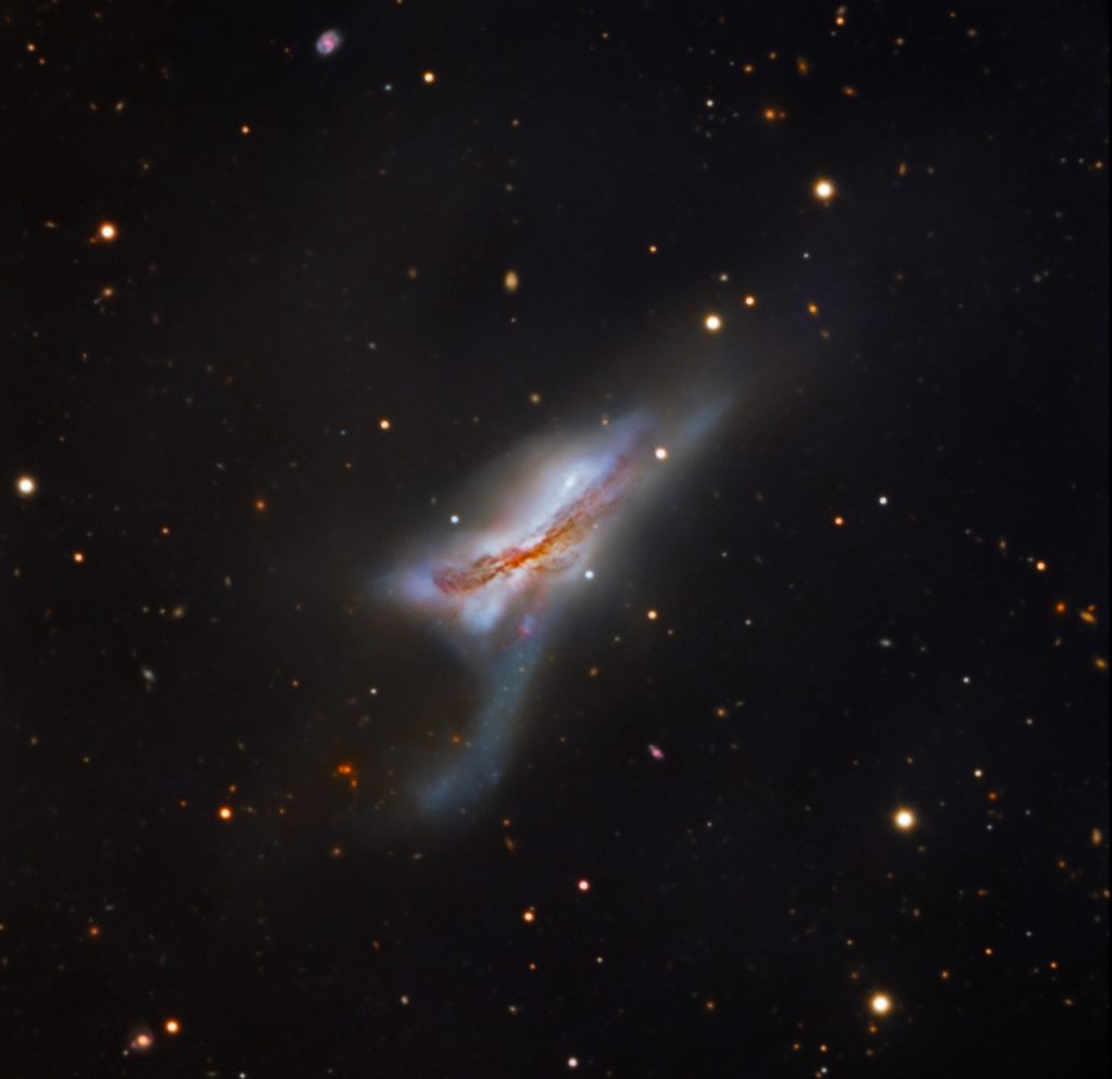 immagine per 7. La coppia di galassie interagenti NGC 520, a circa 105 milioni di anni luce dalla Terra. The interacting pair of galaxies NGC 520, about 105 million light years from Earth. Crediti: LRS/TNG; D. del Nero Festa Nobre