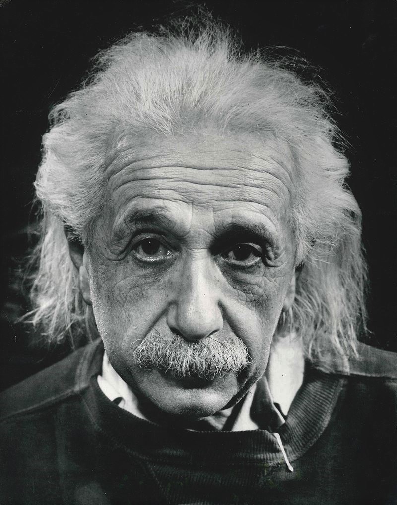 immagine per A. Einstein ritratto in casa a Princeton, New Jersey, 1947 ©Philippe Halsman Archive 2023 1