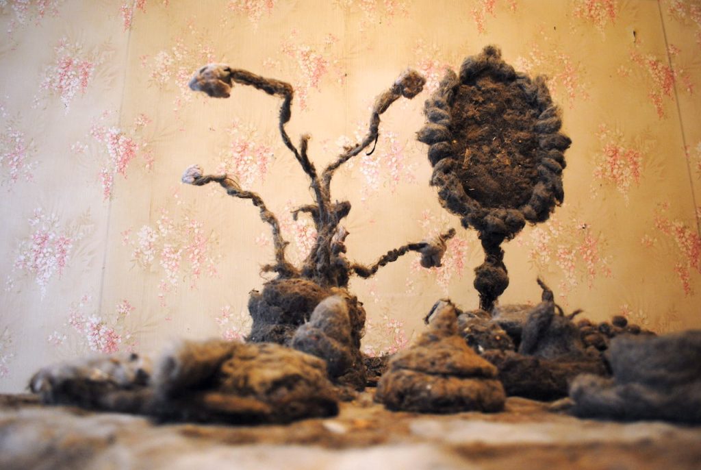 immagine per Humus. Alice Mestriner e Ahad Moslemi tessono la memoria collettiva