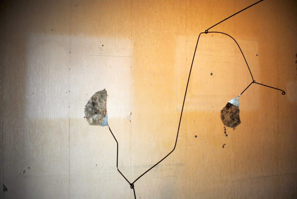 immagine per Humus. Alice Mestriner e Ahad Moslemi tessono la memoria collettiva