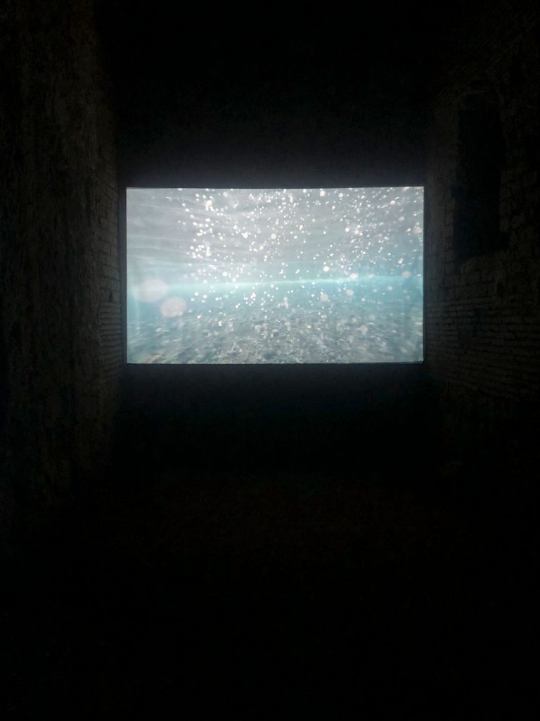 immagine per Ilaria Abbiento La riva, 2023 - video in loop girato con videocamera subacquea