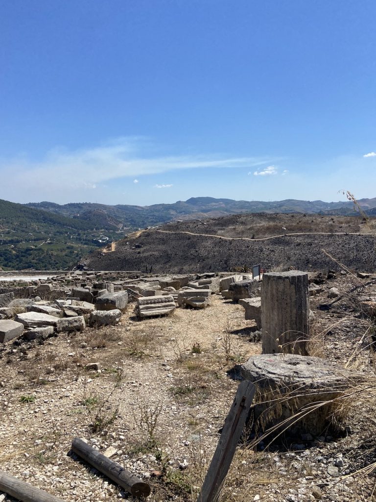 immagine per Foto 1: Parco Archeologico di Segesta Credits: Roberto Civetta