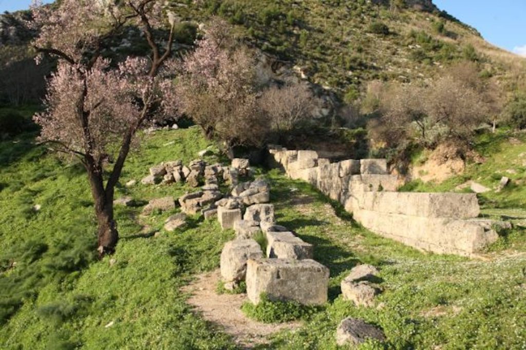 immagine per Foto 7: Parco Archeologico di Segesta Credits: https://www.parcodisegesta.com/home/vivere/storia/Santuario-contrada-Mango.html