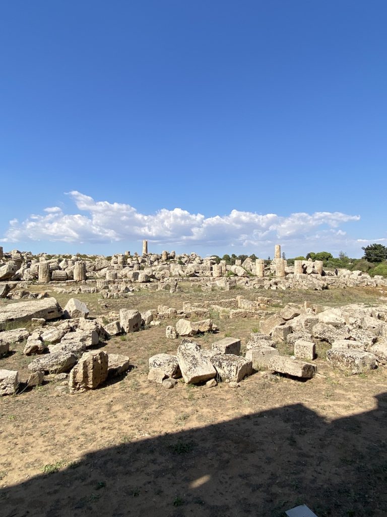 immagine per Foto 8: Parco Archeologico di Selinunte Credits: Roberto Civetta