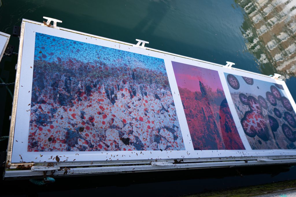 immagine per Planches Contact, Festival de photographie de Deauville 2023 Copyright vues in situ: © Sandrine Boyer Engel.
