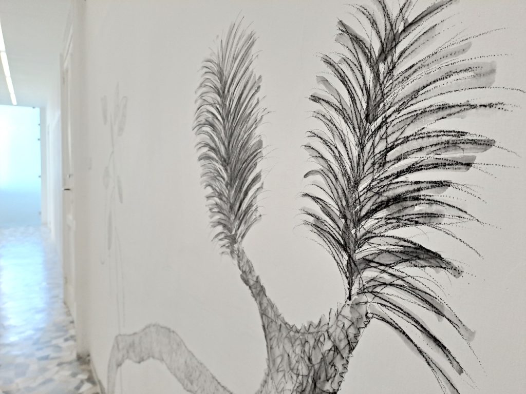 immagine per Edgar Honetschläger a Casamadre. Ricordo e celebrazione di specie estinte