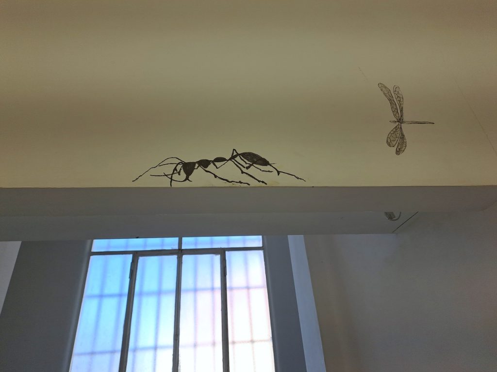 immagine per Edgar Honetschläger a Casamadre. Ricordo e celebrazione di specie estinte