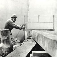 immagine per Brâncuși al lavoro
