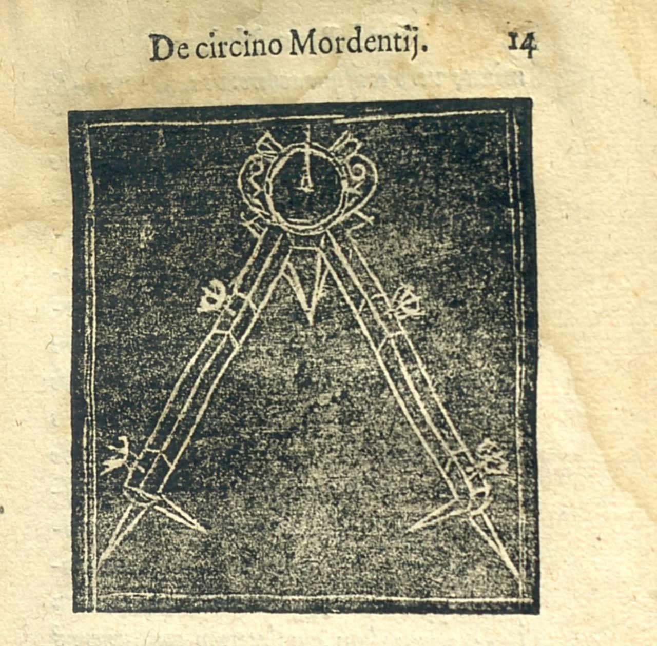 immagine per Bruno Mordente