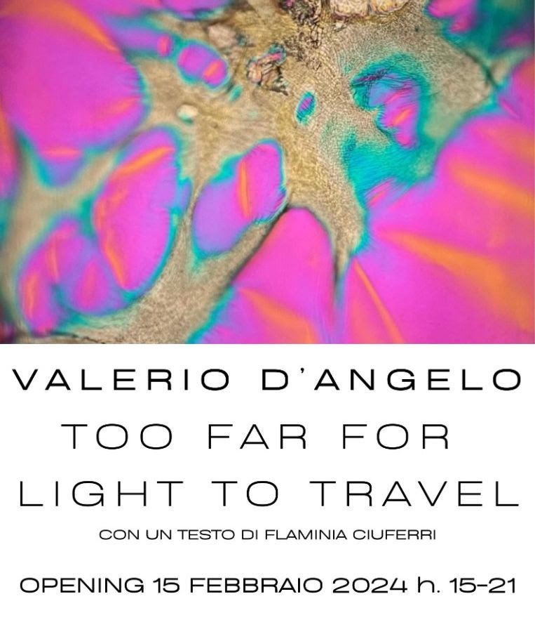 immagine per D’Angelo Galleria Valentina Bonomo