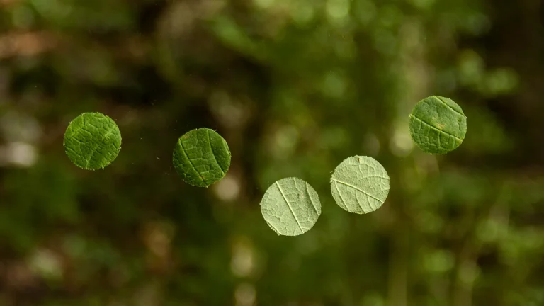 immagine per Con poco o niente, nella luce. Calixto Ramirez a Palazzo Collicola