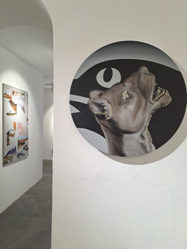 immagine per Andreas Steinbrecher, Alba. Shazar Gallery 