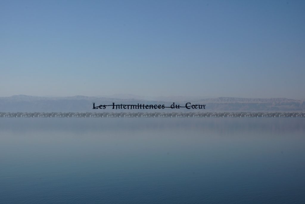 immagine per Agnese Purgatorio - Les Intermittences du coeur, 2023 -collage digitale