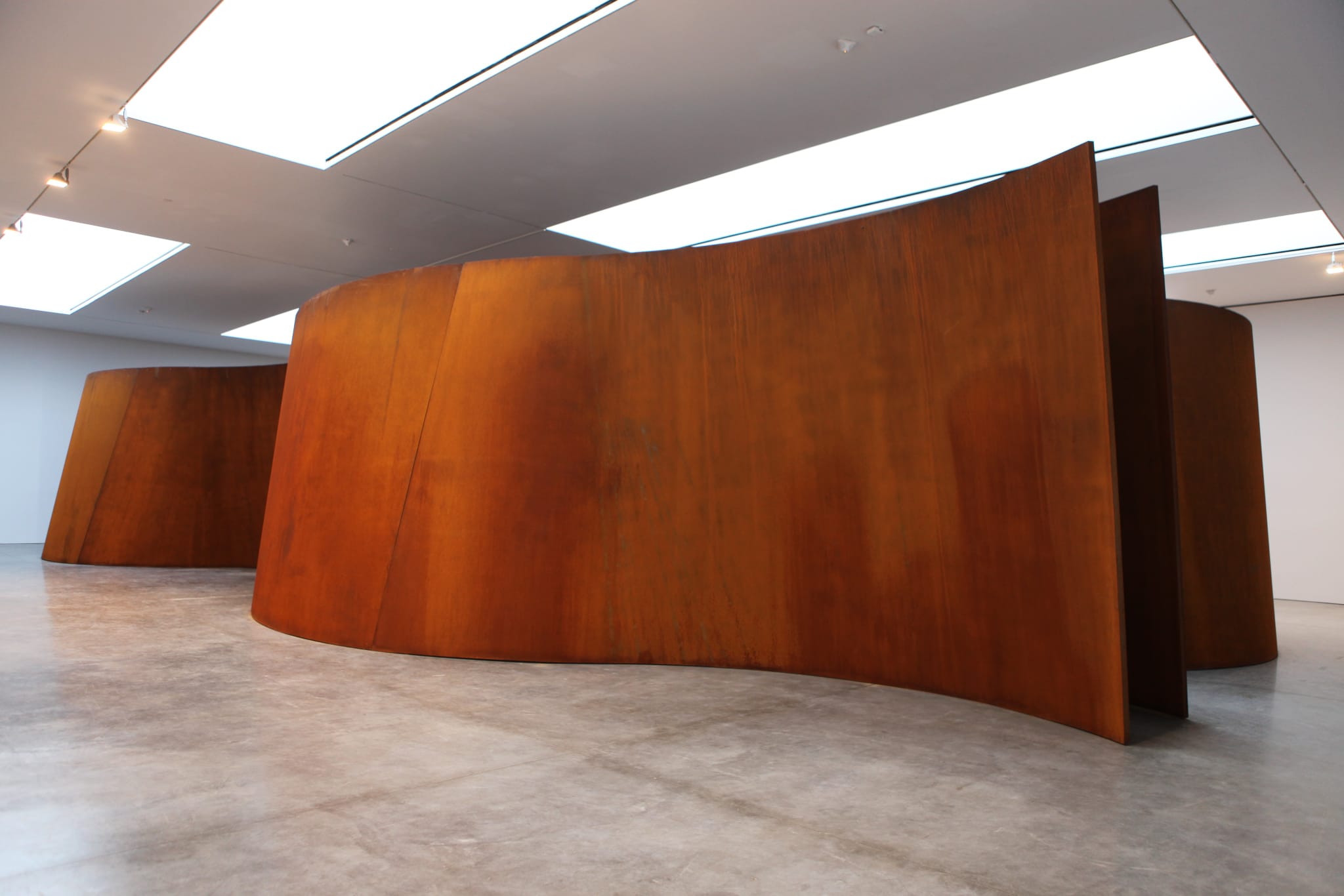 immagine per Richard Serra ph. Stefano Carsetti Esposito