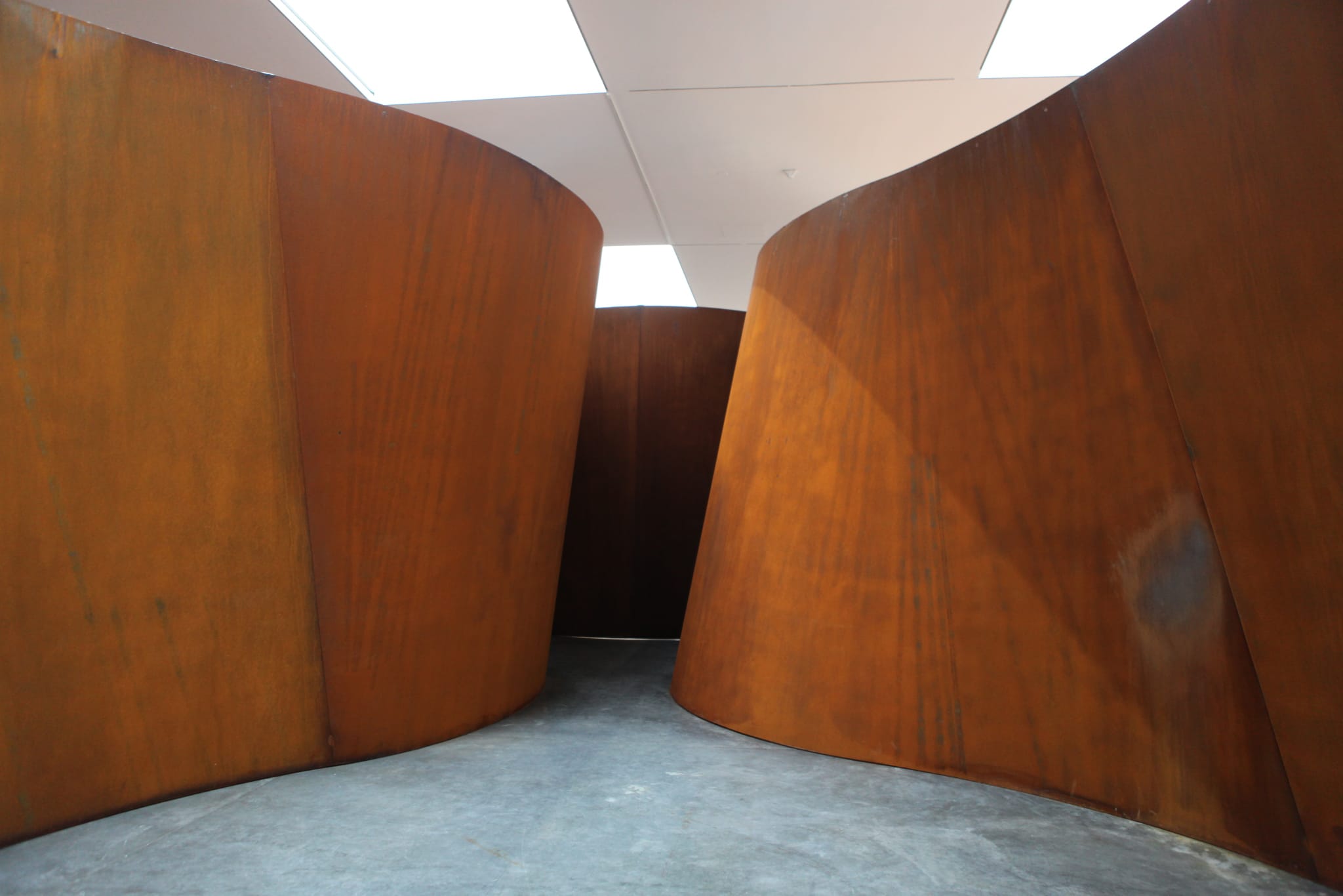 immagine per Richard Serra ph. Stefano Carsetti Esposito