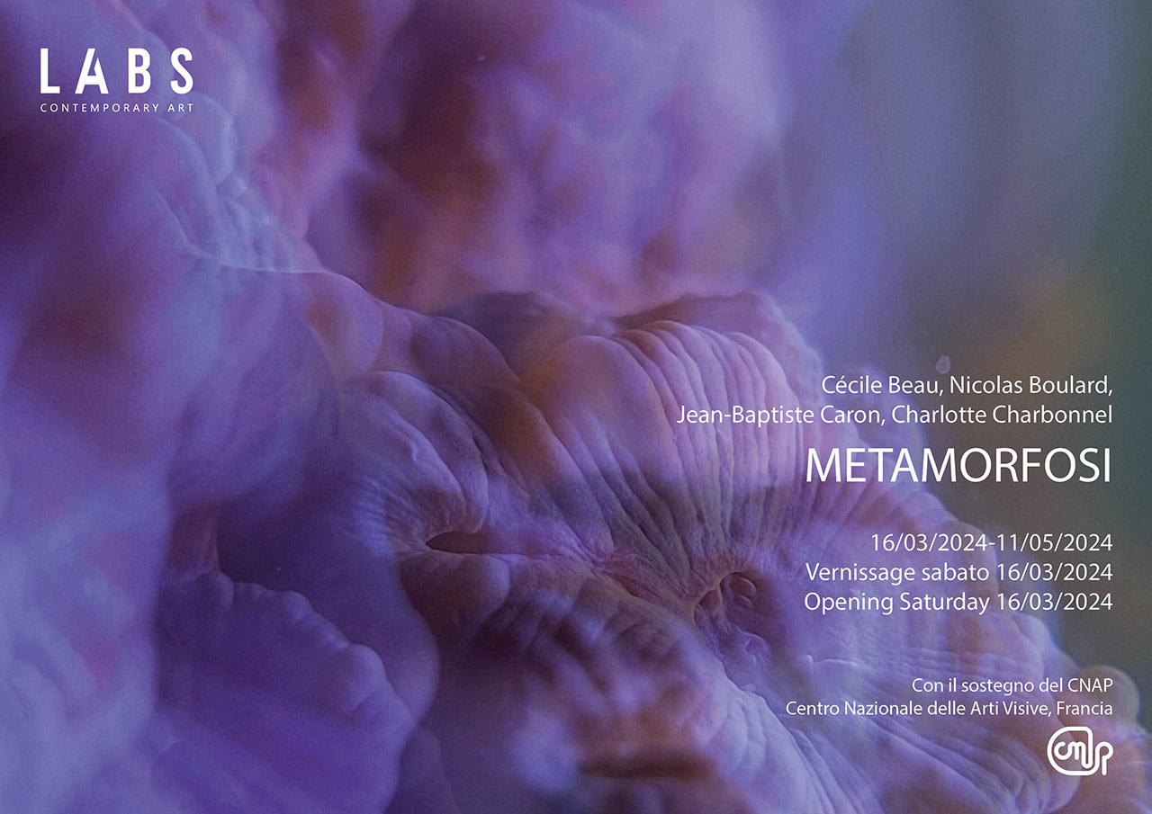 immagine per Metamorfosi LABS Contemporary Art