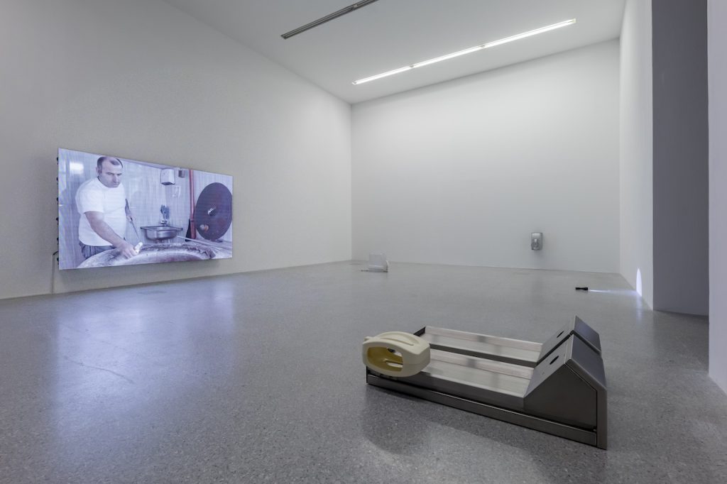 immagine per exhibition view RENAISSANCE, 2024, Museion