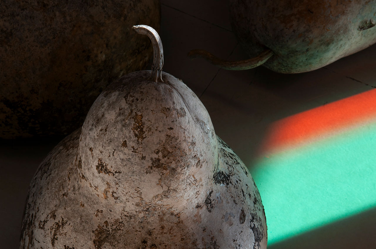 immagine per XNL Arte