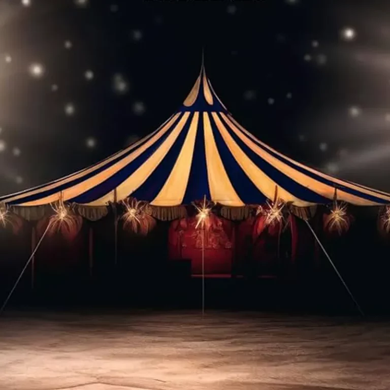 immagine per Il Circo delle Meraviglie di Silvia Lisena