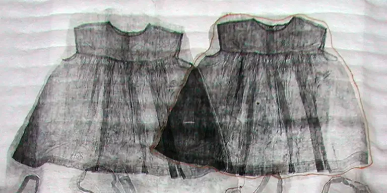 immagine per Elisabetta Diamanti