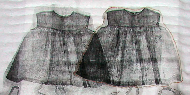 immagine per Elisabetta Diamanti