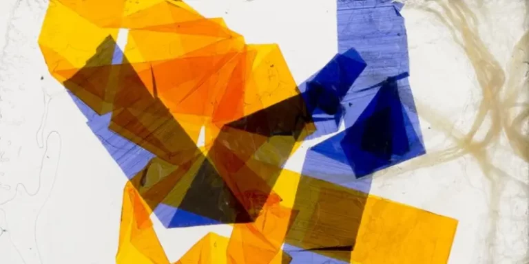 immagine per Munari Giornata di studi