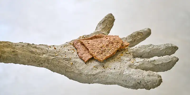 immagine per Sacro è Fondazione Merz