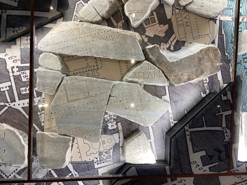 immagine per Foto 16: Parco archeologico del Celio e Museo della Forma Urbis, Roma. Credits: Roberto Civetta