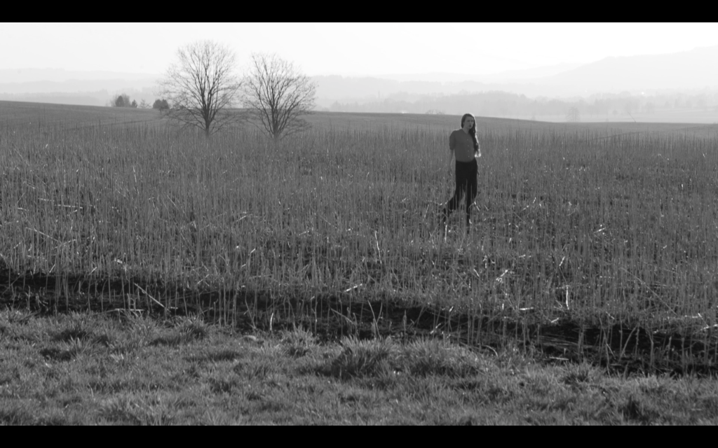 immagine per The Rider. Danza / Anteprima Citofonare PimOff