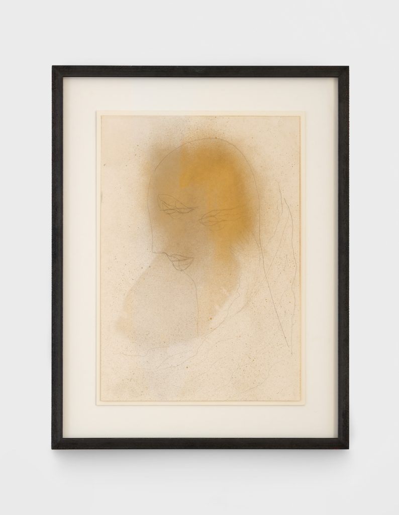 immagine per © Fondazione Merz. Courtesy Gladstone Gallery, New York and Thomas Dane Gallery. Photo: M3Studio.