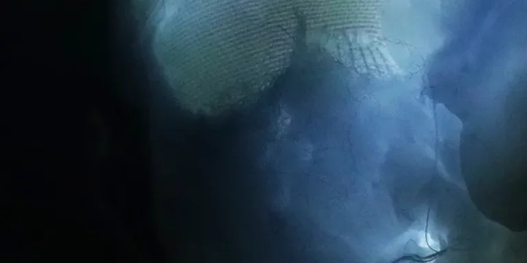 immagine per Maura Prosperi, Le stanze della mente. 16Civico - Pescara