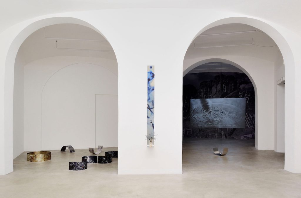 immagine per Chen Xiaoyi, Spoken Leaves, 2024, exhibition view, Matèria, Roma. Courtesy the artist and Matèria, Roma