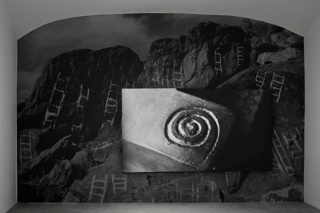 immagine per Chen Xiaoyi, Spoken Leaves, 2024, exhibition view, Matèria, Roma. Courtesy the artist and Matèria, Roma. Photo by Roberto Apa