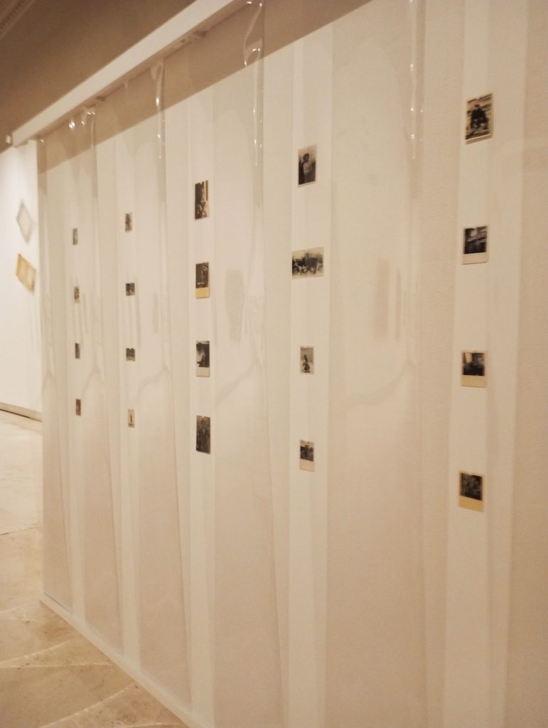 immagine per 22. Origine 1976 - 2007 - sicofoil e 20 fotografie, una in cornice
