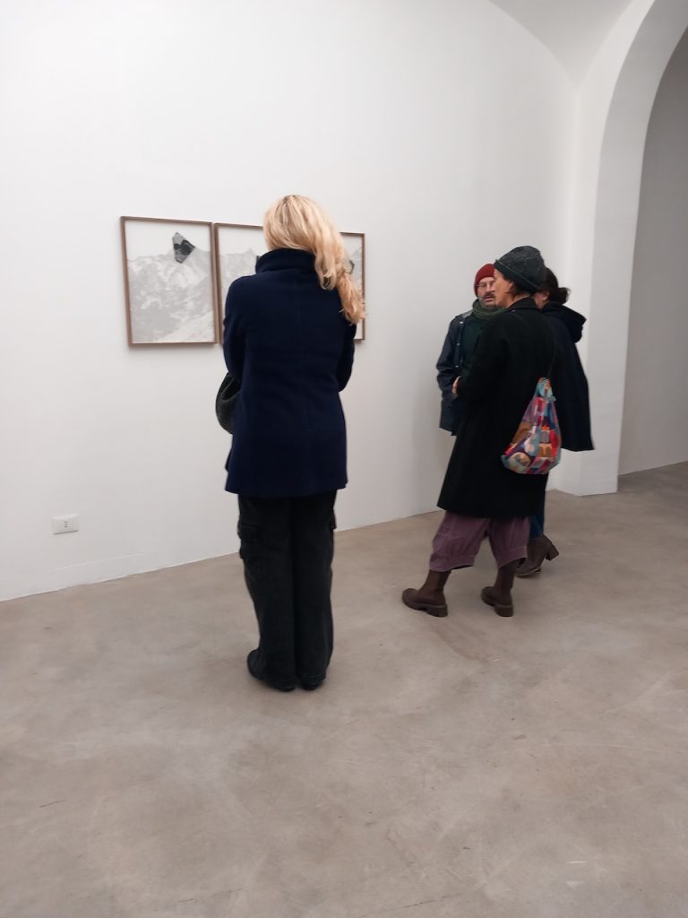 immagine per Chen Xiaoyi, Spoken Leaves, 2024, Matèria, Roma - Ph. Barbara Martusciello
