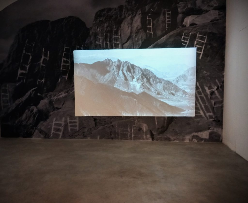 immagine per Chen Xiaoyi, Spoken Leaves, 2024, Matèria, Roma - Ph. Barbara Martusciello