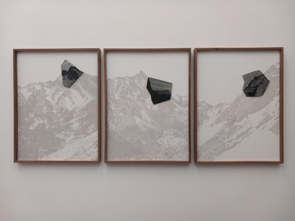 immagine per Chen Xiaoyi, Spoken Leaves, 2024, Matèria, Roma - Ph. Barbara Martusciello