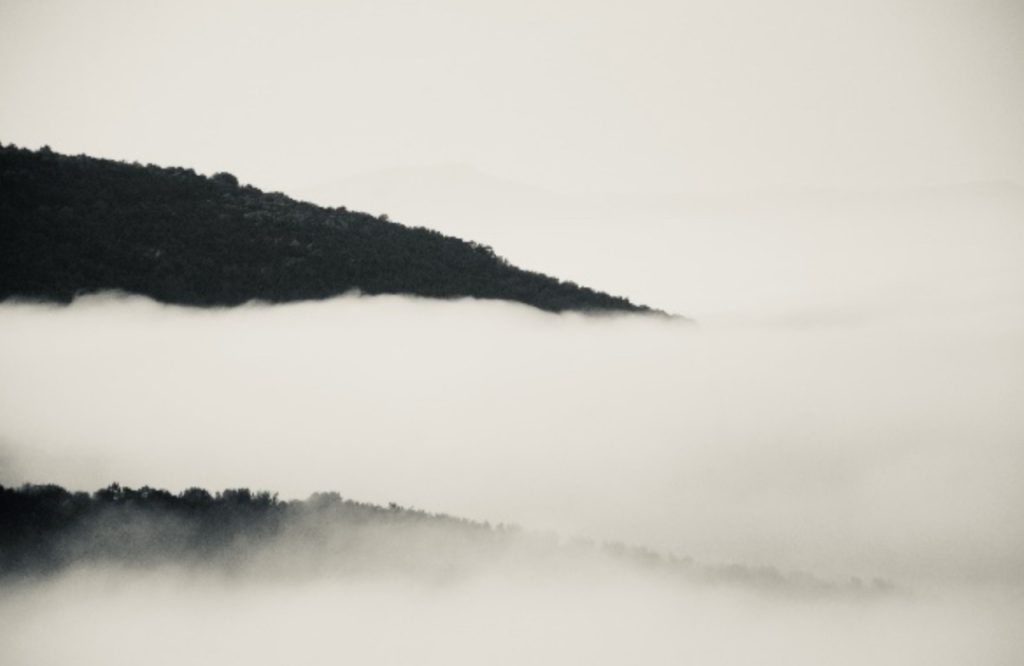 immagine per Melanconia, Viviana Di Leo