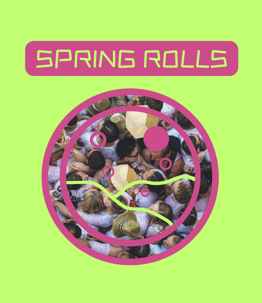 immagine per Spring Rolls
