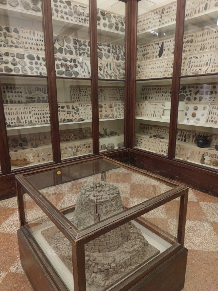 immagine per Foto 11: Museo Civico Archeologico, Bologna Credits: Lucrezia Cirri