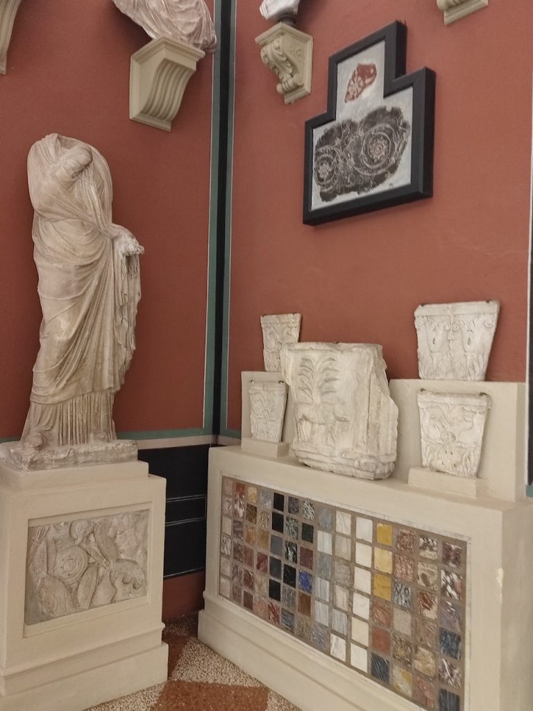 immagine per Foto 16: Museo Civico Archeologico, Bologna Credits: Lucrezia Cirri