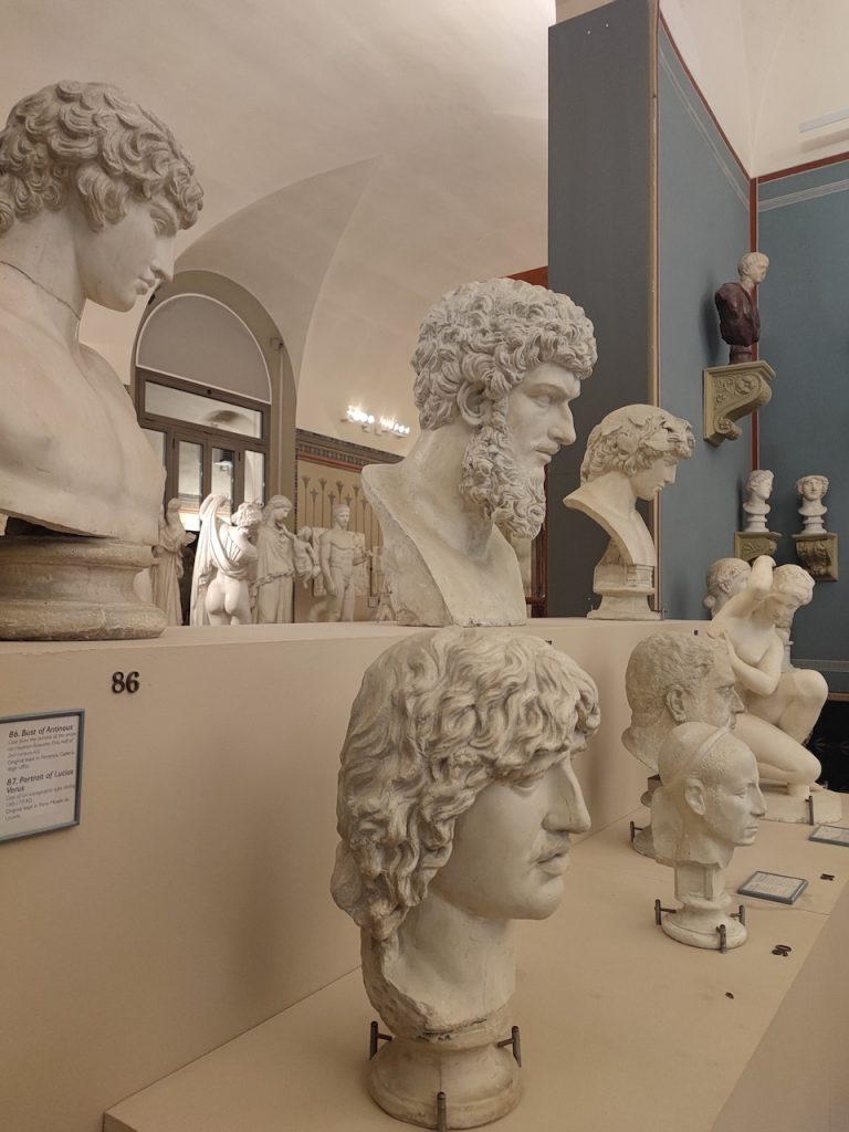 immagine per Foto 19: Museo Civico Archeologico, Bologna Credits: Lucrezia Cirri