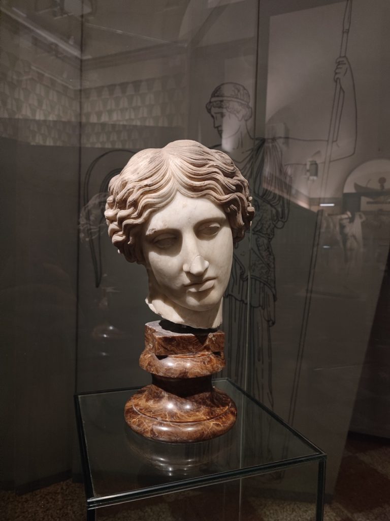 immagine per Foto 19: Museo Civico Archeologico, Bologna Credits: Lucrezia Cirri
