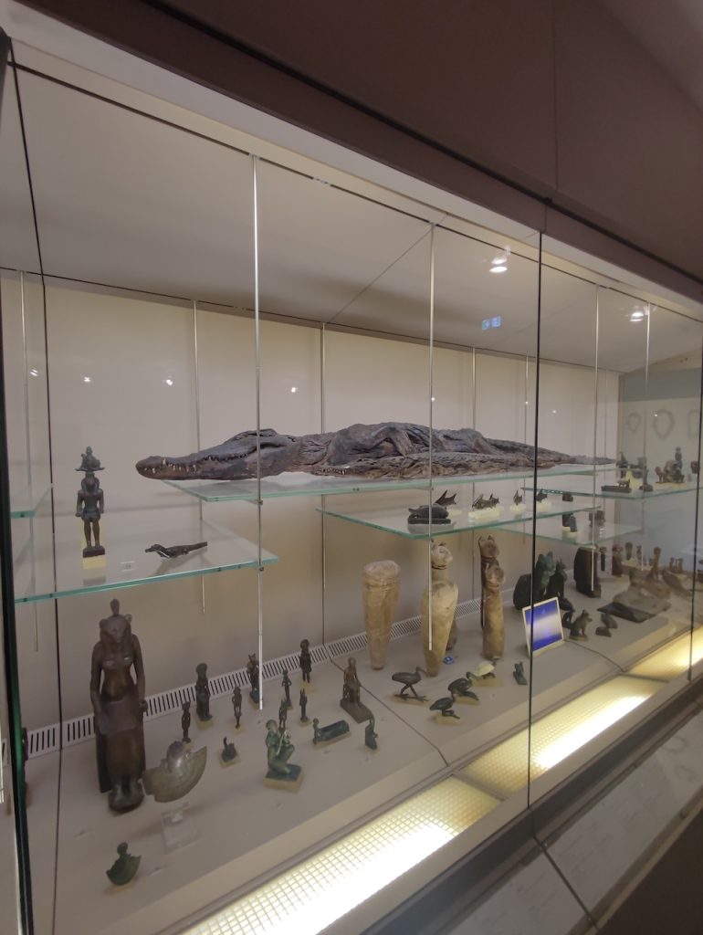 immagine per Foto 7: Museo Civico Archeologico, Bologna Credits: Lucrezia Cirri