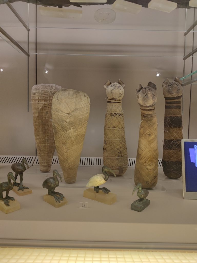immagine per Foto 8: Museo Civico Archeologico, Bologna Credits: Lucrezia Cirri