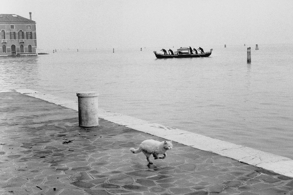 immagine per Alessandria Berengo Gardin
